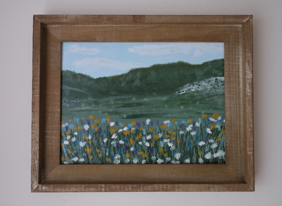 Painted Meadow